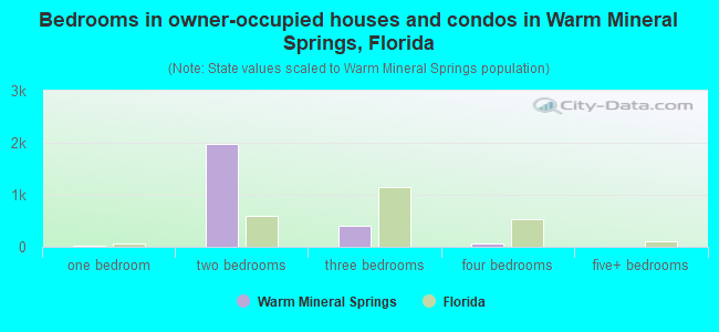 Bedrooms in owner-occupied houses and condos in Warm Mineral Springs, Florida