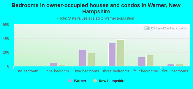 Bedrooms in owner-occupied houses and condos in Warner, New Hampshire