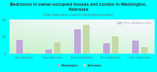 Bedrooms in owner-occupied houses and condos in Washington, Nebraska