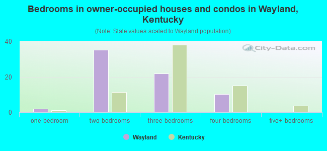 Bedrooms in owner-occupied houses and condos in Wayland, Kentucky