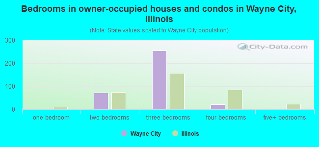 Bedrooms in owner-occupied houses and condos in Wayne City, Illinois