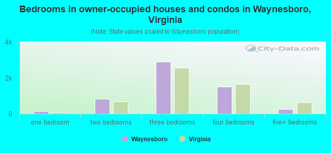 Bedrooms in owner-occupied houses and condos in Waynesboro, Virginia