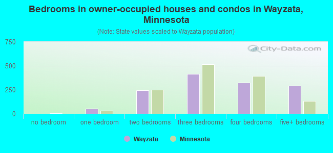Bedrooms in owner-occupied houses and condos in Wayzata, Minnesota