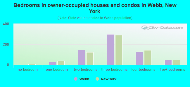Bedrooms in owner-occupied houses and condos in Webb, New York