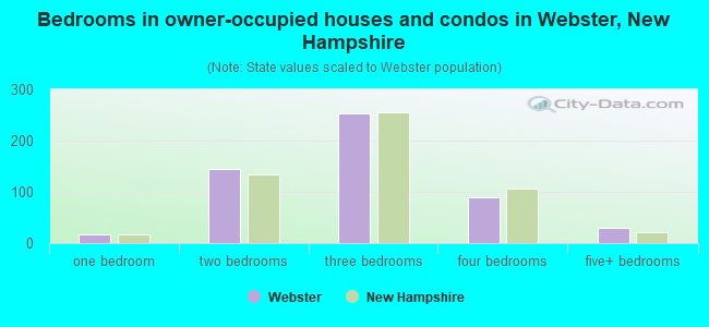 Bedrooms in owner-occupied houses and condos in Webster, New Hampshire