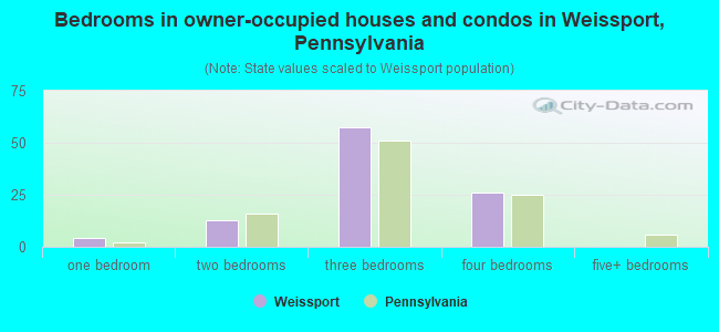Bedrooms in owner-occupied houses and condos in Weissport, Pennsylvania