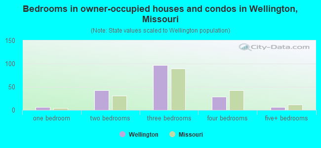 Bedrooms in owner-occupied houses and condos in Wellington, Missouri