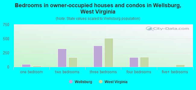 Bedrooms in owner-occupied houses and condos in Wellsburg, West Virginia