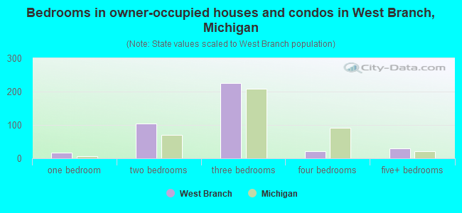 Bedrooms in owner-occupied houses and condos in West Branch, Michigan
