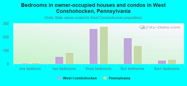 Bedrooms in owner-occupied houses and condos in West Conshohocken, Pennsylvania