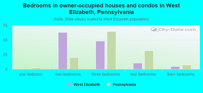 Bedrooms in owner-occupied houses and condos in West Elizabeth, Pennsylvania