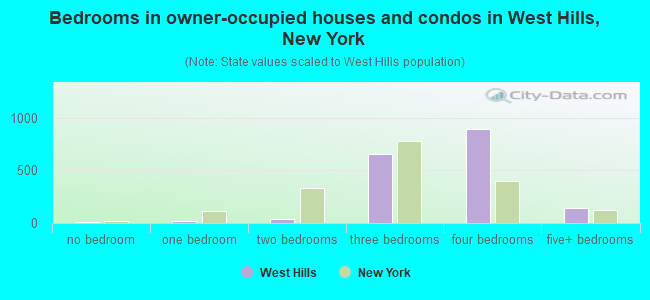 Bedrooms in owner-occupied houses and condos in West Hills, New York