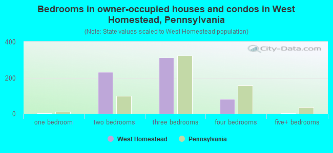 Bedrooms in owner-occupied houses and condos in West Homestead, Pennsylvania