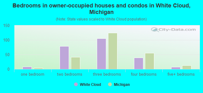 Bedrooms in owner-occupied houses and condos in White Cloud, Michigan