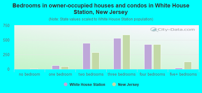 Bedrooms in owner-occupied houses and condos in White House Station, New Jersey