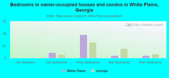 Bedrooms in owner-occupied houses and condos in White Plains, Georgia