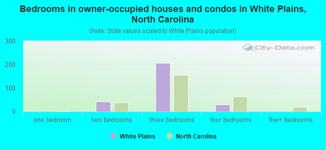 Bedrooms in owner-occupied houses and condos in White Plains, North Carolina