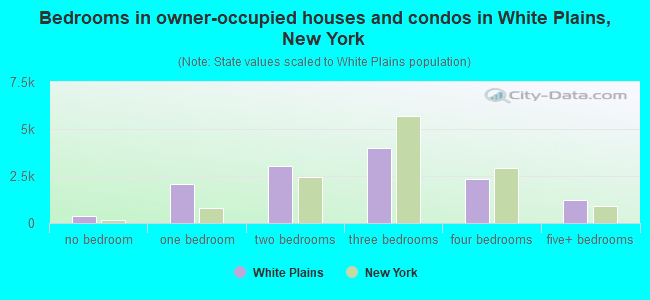 Bedrooms in owner-occupied houses and condos in White Plains, New York