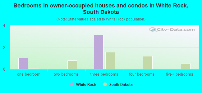 Bedrooms in owner-occupied houses and condos in White Rock, South Dakota