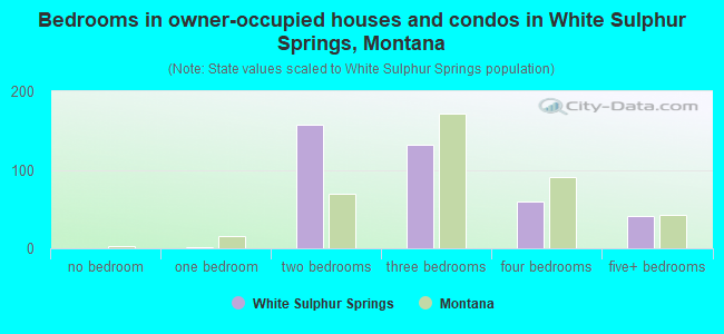Bedrooms in owner-occupied houses and condos in White Sulphur Springs, Montana