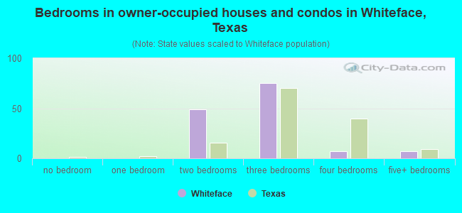 Bedrooms in owner-occupied houses and condos in Whiteface, Texas