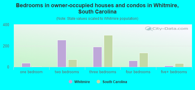 Bedrooms in owner-occupied houses and condos in Whitmire, South Carolina
