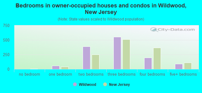 Bedrooms in owner-occupied houses and condos in Wildwood, New Jersey