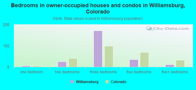 Bedrooms in owner-occupied houses and condos in Williamsburg, Colorado