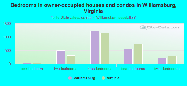 Bedrooms in owner-occupied houses and condos in Williamsburg, Virginia