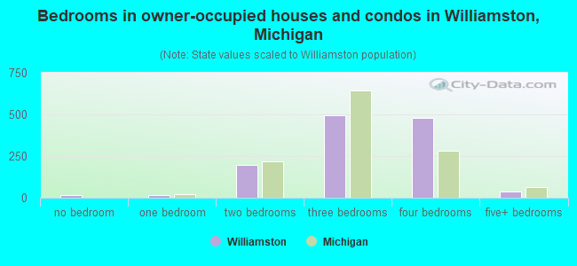 Bedrooms in owner-occupied houses and condos in Williamston, Michigan