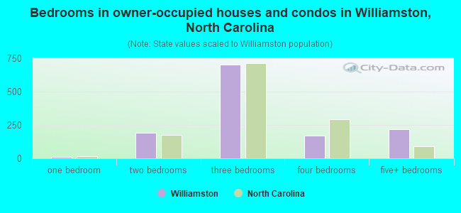 Bedrooms in owner-occupied houses and condos in Williamston, North Carolina