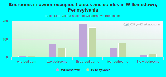 Bedrooms in owner-occupied houses and condos in Williamstown, Pennsylvania