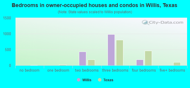 Bedrooms in owner-occupied houses and condos in Willis, Texas