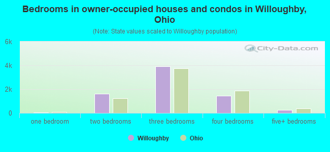 Bedrooms in owner-occupied houses and condos in Willoughby, Ohio