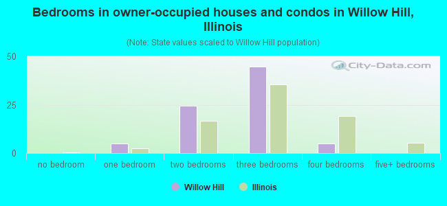 Bedrooms in owner-occupied houses and condos in Willow Hill, Illinois