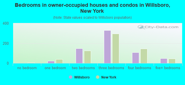 Bedrooms in owner-occupied houses and condos in Willsboro, New York