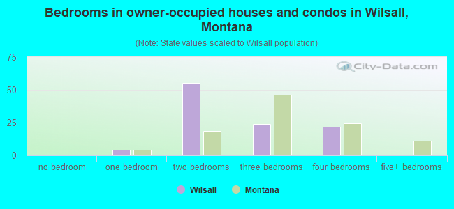 Bedrooms in owner-occupied houses and condos in Wilsall, Montana