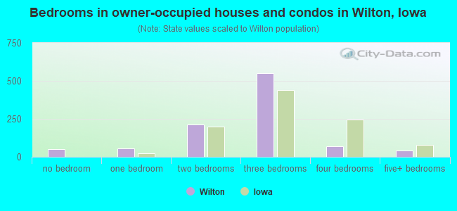 Bedrooms in owner-occupied houses and condos in Wilton, Iowa