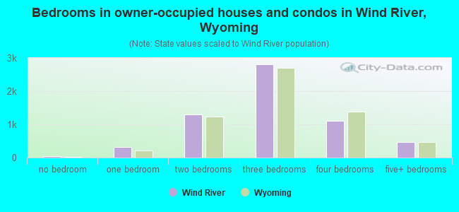 Bedrooms in owner-occupied houses and condos in Wind River, Wyoming