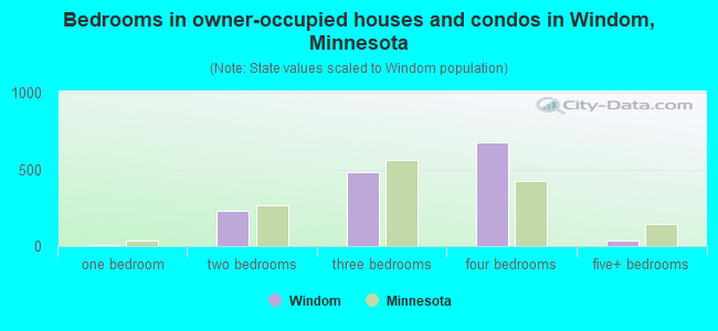Bedrooms in owner-occupied houses and condos in Windom, Minnesota