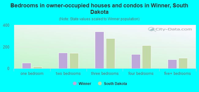 Bedrooms in owner-occupied houses and condos in Winner, South Dakota
