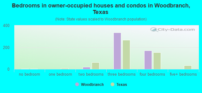 Bedrooms in owner-occupied houses and condos in Woodbranch, Texas