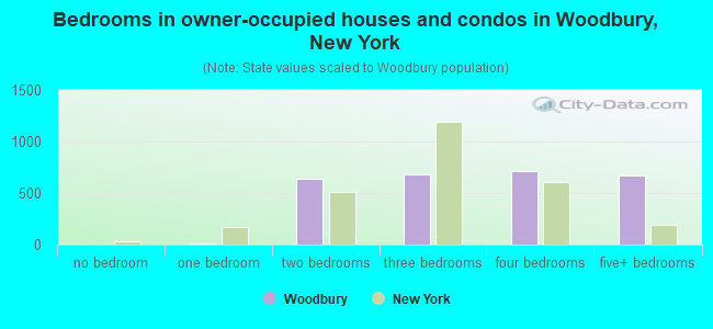 Bedrooms in owner-occupied houses and condos in Woodbury, New York