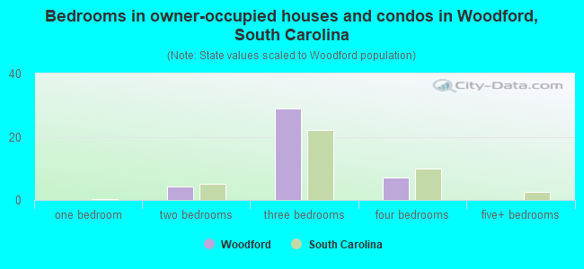 Bedrooms in owner-occupied houses and condos in Woodford, South Carolina