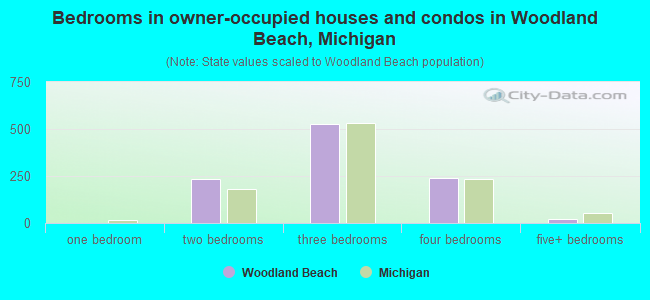 Bedrooms in owner-occupied houses and condos in Woodland Beach, Michigan