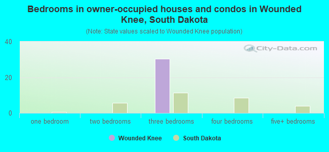 Bedrooms in owner-occupied houses and condos in Wounded Knee, South Dakota