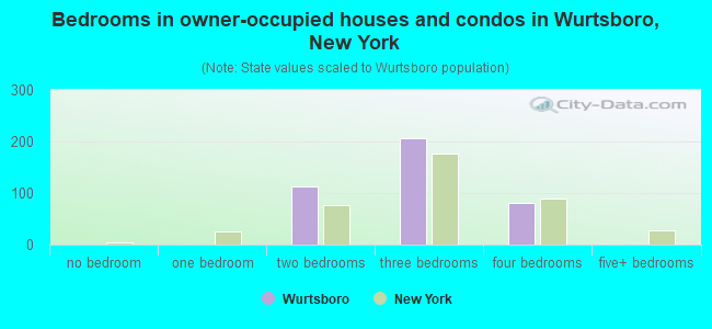 Bedrooms in owner-occupied houses and condos in Wurtsboro, New York