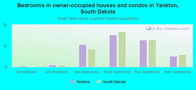 Bedrooms in owner-occupied houses and condos in Yankton, South Dakota