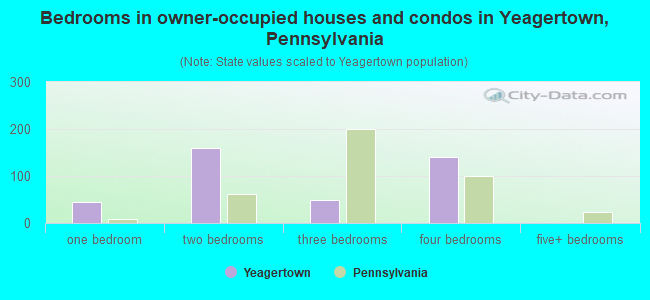 Bedrooms in owner-occupied houses and condos in Yeagertown, Pennsylvania