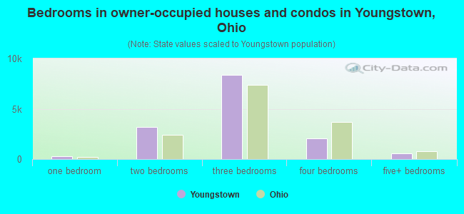 Bedrooms in owner-occupied houses and condos in Youngstown, Ohio